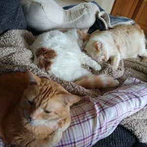 Meet your Posher, Jodi